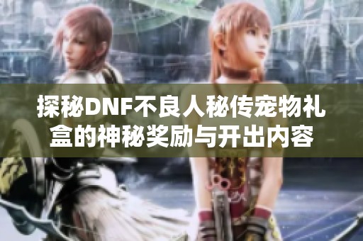 探秘DNF不良人秘传宠物礼盒的神秘奖励与开出内容