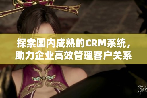 探索国内成熟的CRM系统，助力企业高效管理客户关系