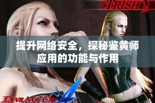 提升网络安全，探秘鉴黄师应用的功能与作用