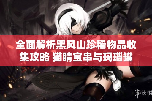 全面解析黑风山珍稀物品收集攻略 猫睛宝串与玛瑙罐详细介绍