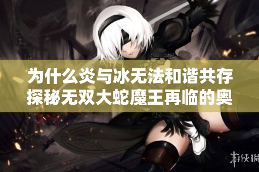 为什么炎与冰无法和谐共存探秘无双大蛇魔王再临的奥秘