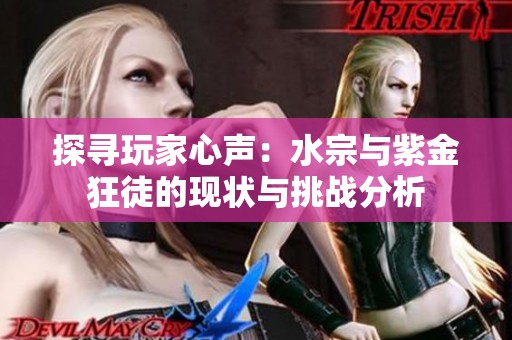探寻玩家心声：水宗与紫金狂徒的现状与挑战分析