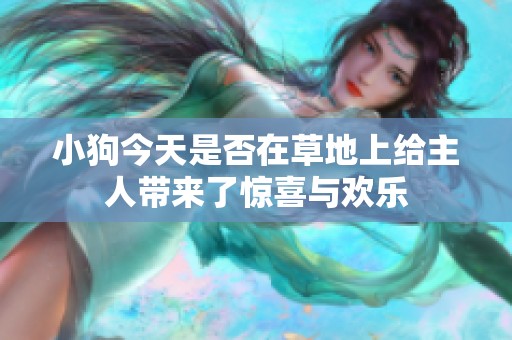 小狗今天是否在草地上给主人带来了惊喜与欢乐