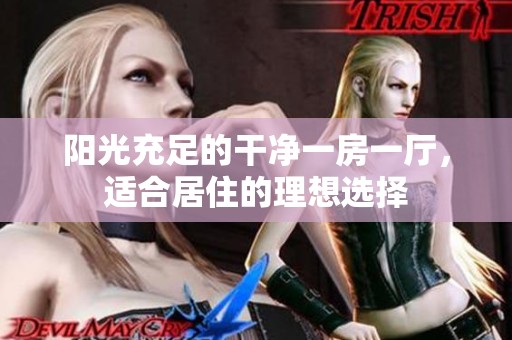 阳光充足的干净一房一厅，适合居住的理想选择