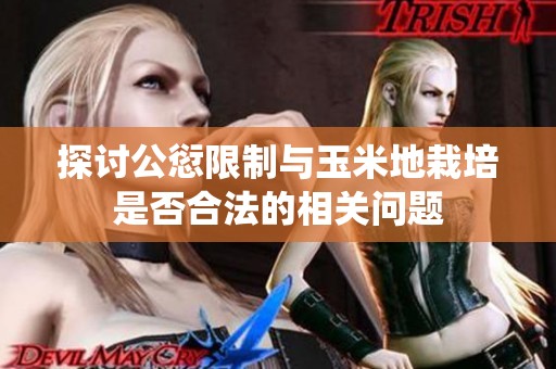 探讨公愆限制与玉米地栽培是否合法的相关问题