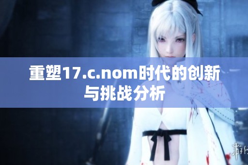 重塑17.c.nom时代的创新与挑战分析