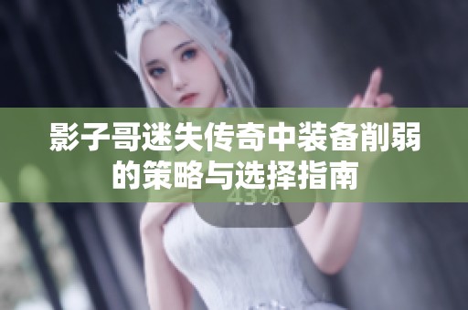 影子哥迷失传奇中装备削弱的策略与选择指南