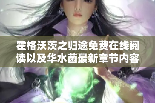 霍格沃茨之归途免费在线阅读以及华水菌最新章节内容解析