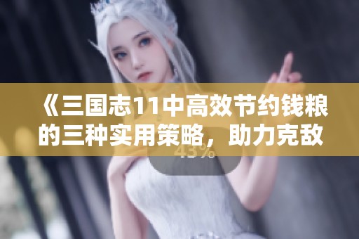 《三国志11中高效节约钱粮的三种实用策略，助力克敌制胜》