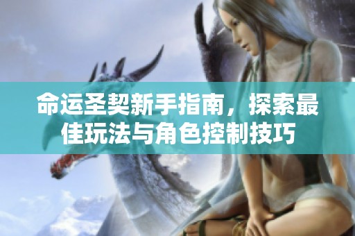 命运圣契新手指南，探索最佳玩法与角色控制技巧