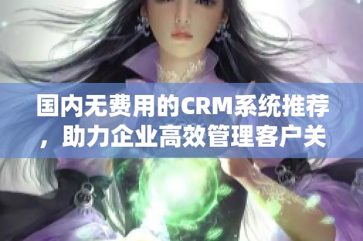 国内无费用的CRM系统推荐，助力企业高效管理客户关系