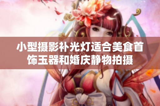 小型摄影补光灯适合美食首饰玉器和婚庆静物拍摄