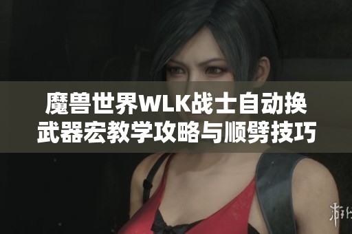 魔兽世界WLK战士自动换武器宏教学攻略与顺劈技巧分享
