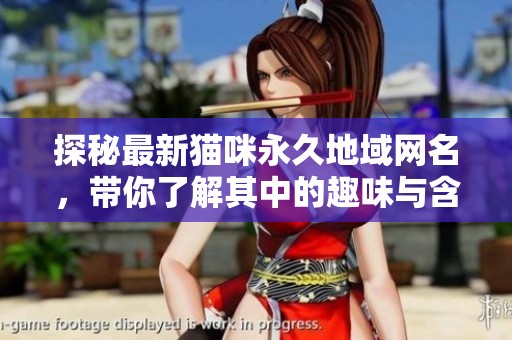 探秘最新猫咪永久地域网名，带你了解其中的趣味与含义