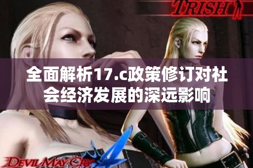 全面解析17.c政策修订对社会经济发展的深远影响