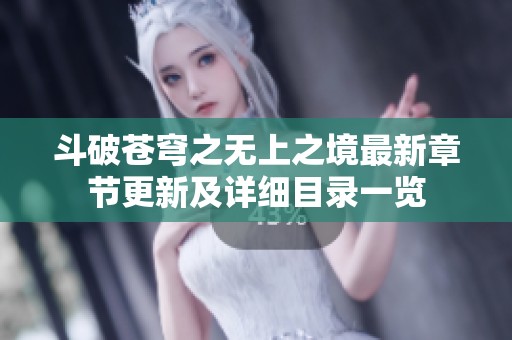 斗破苍穹之无上之境最新章节更新及详细目录一览
