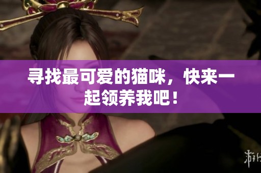 寻找最可爱的猫咪，快来一起领养我吧！