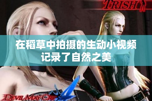 在稻草中拍摄的生动小视频记录了自然之美