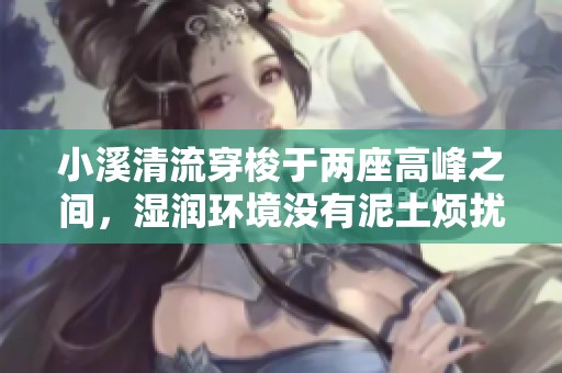 小溪清流穿梭于两座高峰之间，湿润环境没有泥土烦扰