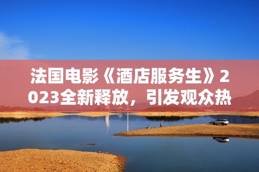 法国电影《酒店服务生》2023全新释放，引发观众热议与反思