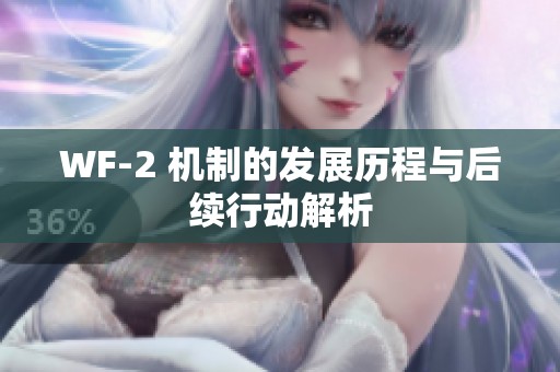 WF-2 机制的发展历程与后续行动解析