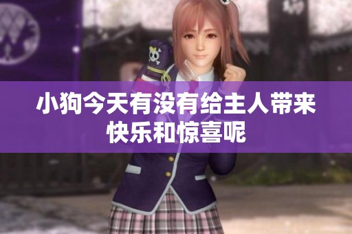 小狗今天有没有给主人带来快乐和惊喜呢