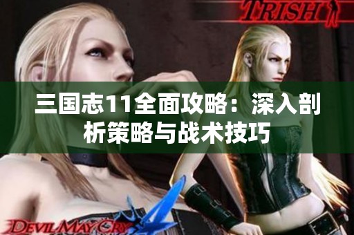 三国志11全面攻略：深入剖析策略与战术技巧