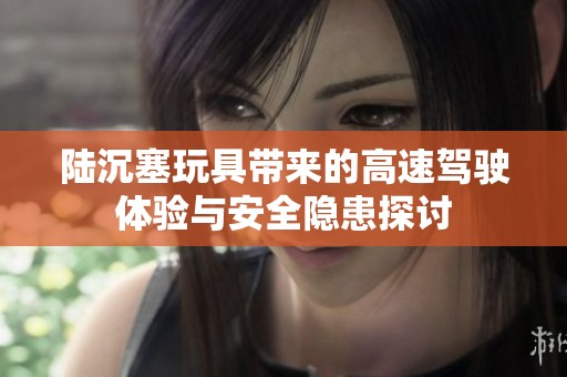 陆沉塞玩具带来的高速驾驶体验与安全隐患探讨