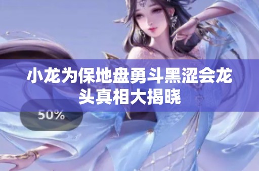 小龙为保地盘勇斗黑涩会龙头真相大揭晓