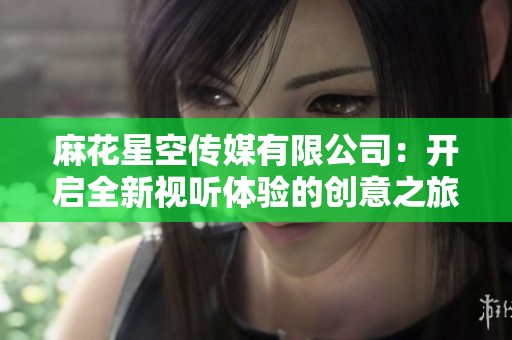 麻花星空传媒有限公司：开启全新视听体验的创意之旅