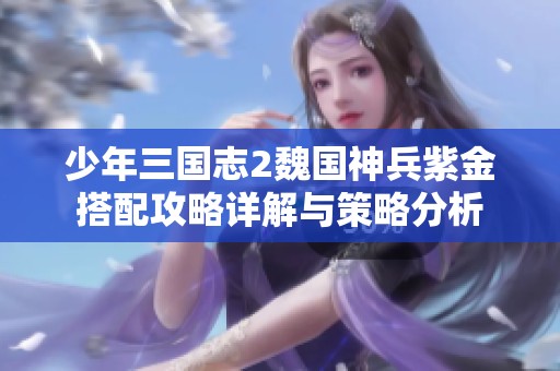 少年三国志2魏国神兵紫金搭配攻略详解与策略分析