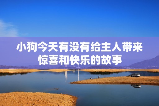 小狗今天有没有给主人带来惊喜和快乐的故事