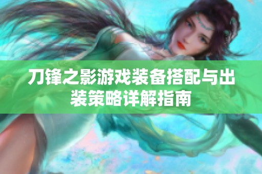 刀锋之影游戏装备搭配与出装策略详解指南