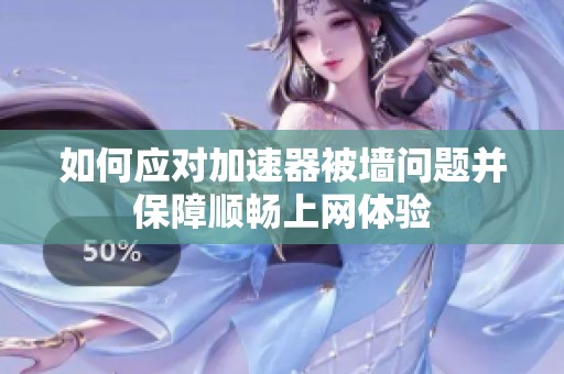 如何应对加速器被墙问题并保障顺畅上网体验