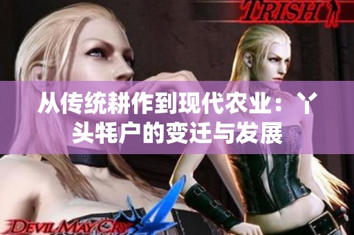 从传统耕作到现代农业：丫头牦户的变迁与发展