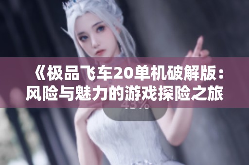 《极品飞车20单机破解版：风险与魅力的游戏探险之旅》