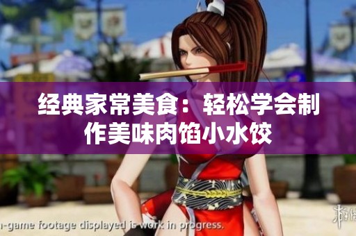 经典家常美食：轻松学会制作美味肉馅小水饺