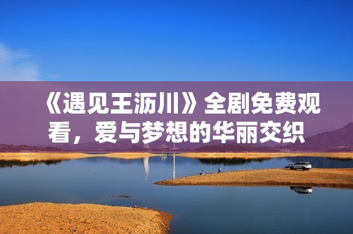 《遇见王沥川》全剧免费观看，爱与梦想的华丽交织