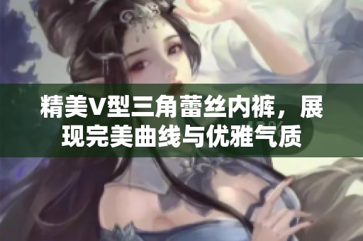 精美V型三角蕾丝内裤，展现完美曲线与优雅气质