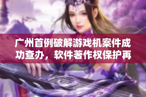 广州首例破解游戏机案件成功查办，软件著作权保护再加强