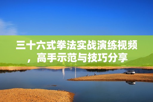 三十六式拳法实战演练视频，高手示范与技巧分享