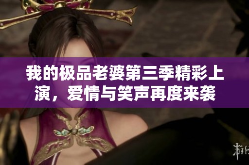 我的极品老婆第三季精彩上演，爱情与笑声再度来袭
