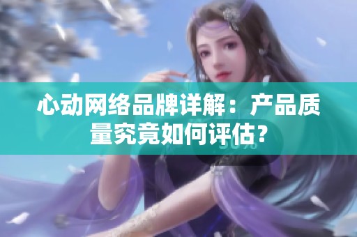 心动网络品牌详解：产品质量究竟如何评估？