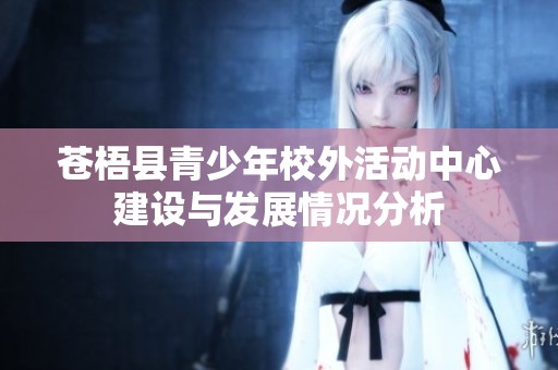 苍梧县青少年校外活动中心建设与发展情况分析
