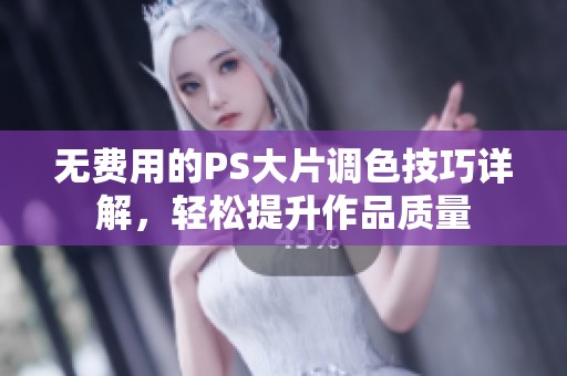 无费用的PS大片调色技巧详解，轻松提升作品质量