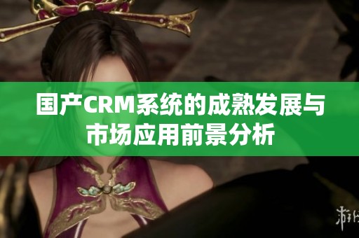 国产CRM系统的成熟发展与市场应用前景分析