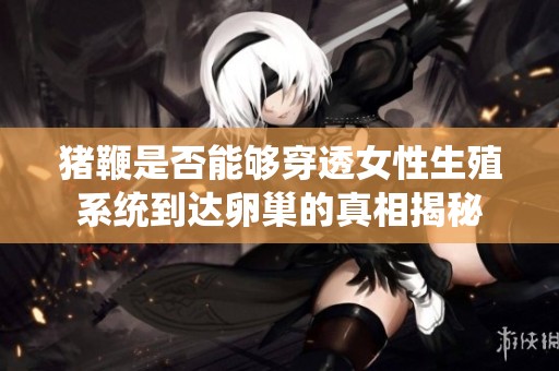 猪鞭是否能够穿透女性生殖系统到达卵巢的真相揭秘