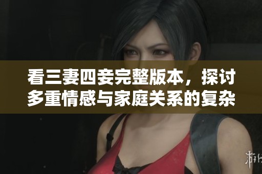 看三妻四妾完整版本，探讨多重情感与家庭关系的复杂性