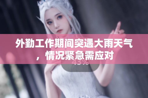 外勤工作期间突遇大雨天气，情况紧急需应对