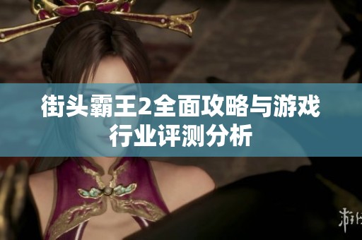 街头霸王2全面攻略与游戏行业评测分析